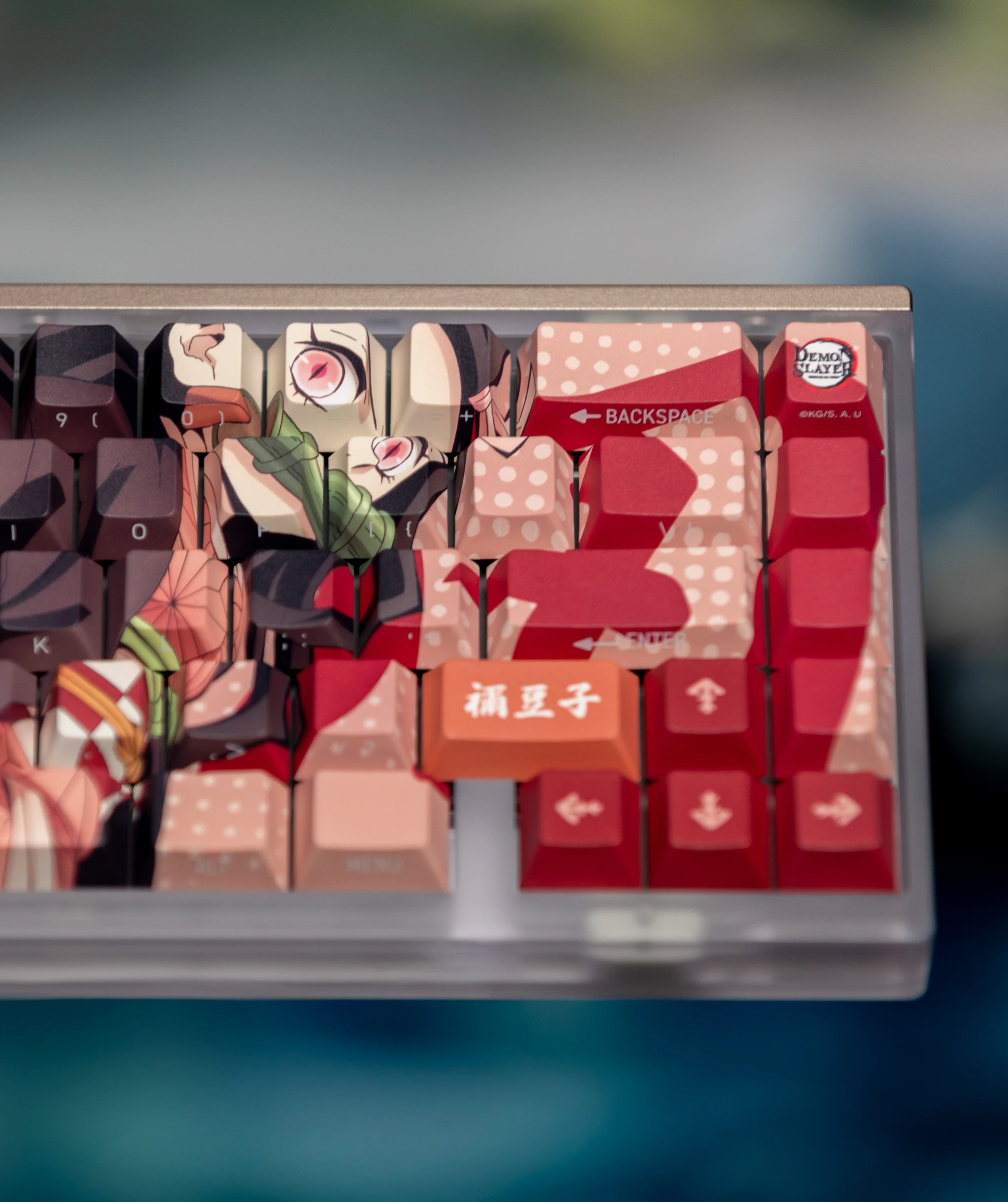 Thumbnail 6